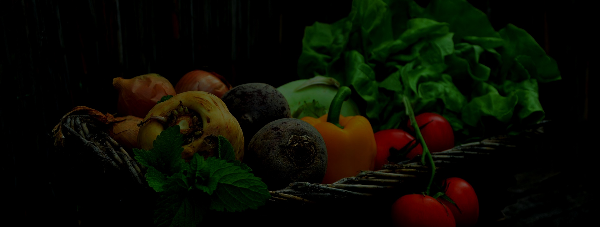 slider-image2